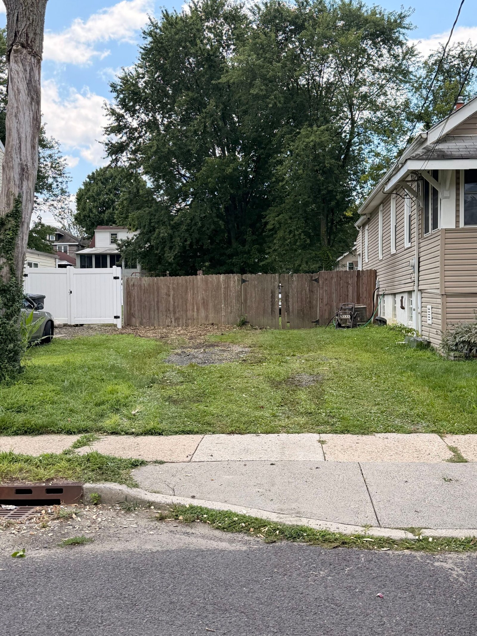 Tree Removal Service